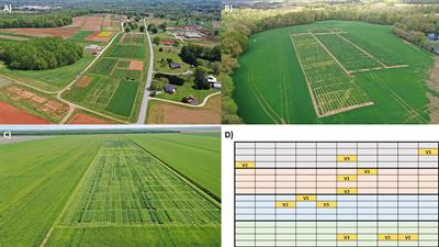 Foliar fungal communities in agroecosystems depend on crop identity and neighboring vegetation